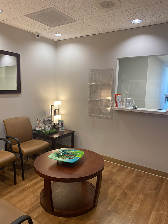 allaboutsmile-encino-2